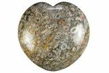 Colorful Fossil Crinoid Stems In Marble Heart #311925-1